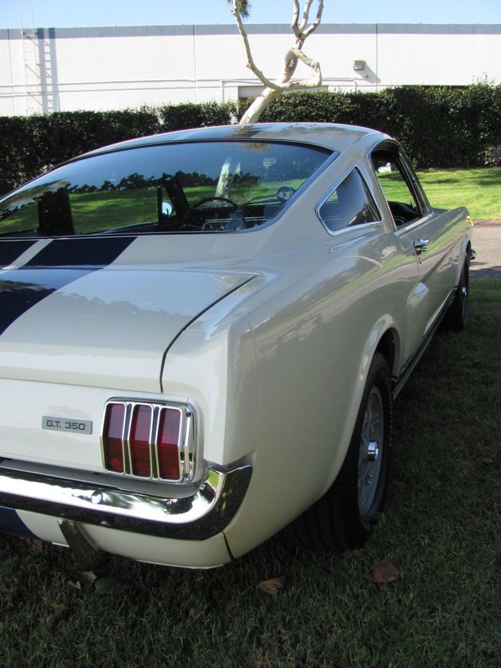 1966 Shelby GT-350 FASTBACK - 9662307 - 26