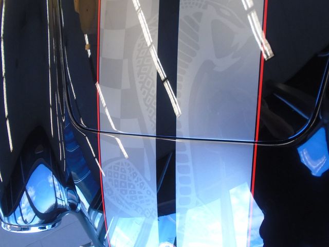 1967 Ford Cobra Replica  - 22910837 - 34