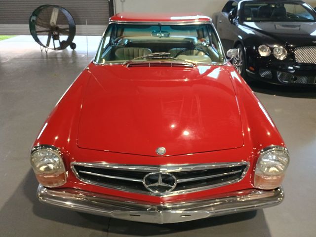 1967 Mercedes-Benz 230 SL 1967 Mercedes 230 SL Pagoda - 22894859 - 23