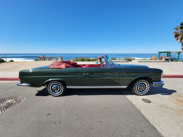 1967 Mercedes-Benz 250SE CONVERTIBLE, MANUAL TRANSMISSION, RESTORED! - 21761289 - 13