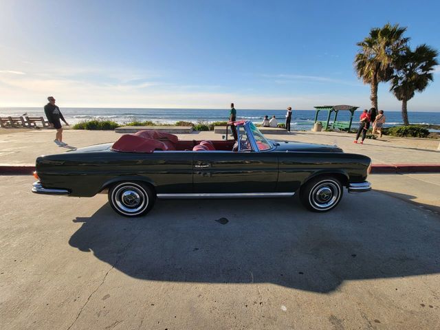 1967 Mercedes-Benz 250SE CONVERTIBLE, MANUAL TRANSMISSION, RESTORED! - 21761289 - 1