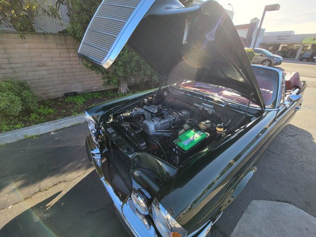 1967 Mercedes-Benz 250SE CONVERTIBLE, MANUAL TRANSMISSION, RESTORED! - 21761289 - 46