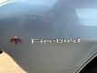 1967 Pontiac Firebird  - 22359189 - 12