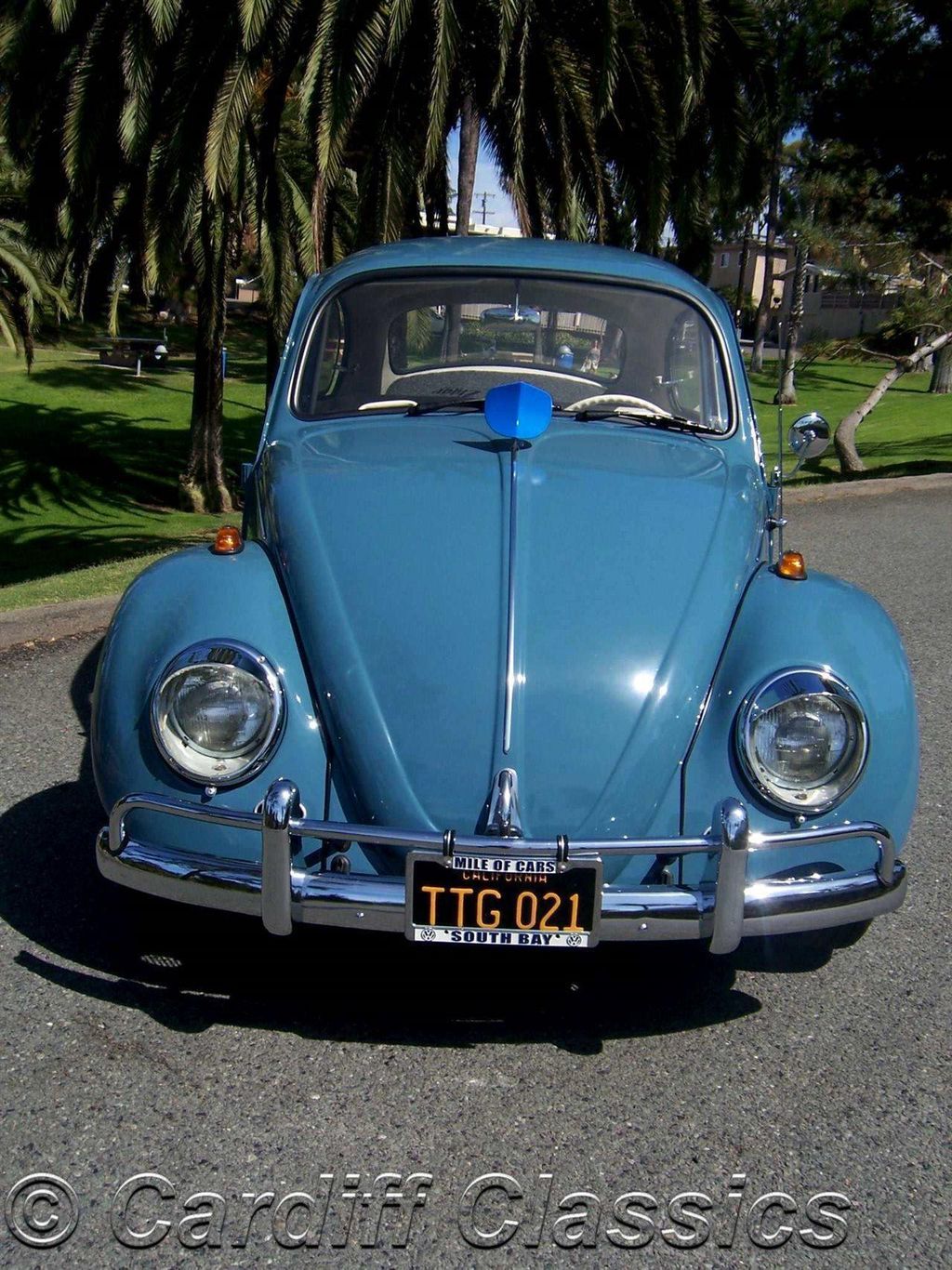 1967 Volkswagen Beetle DeLux Sedan - 12541296 - 11