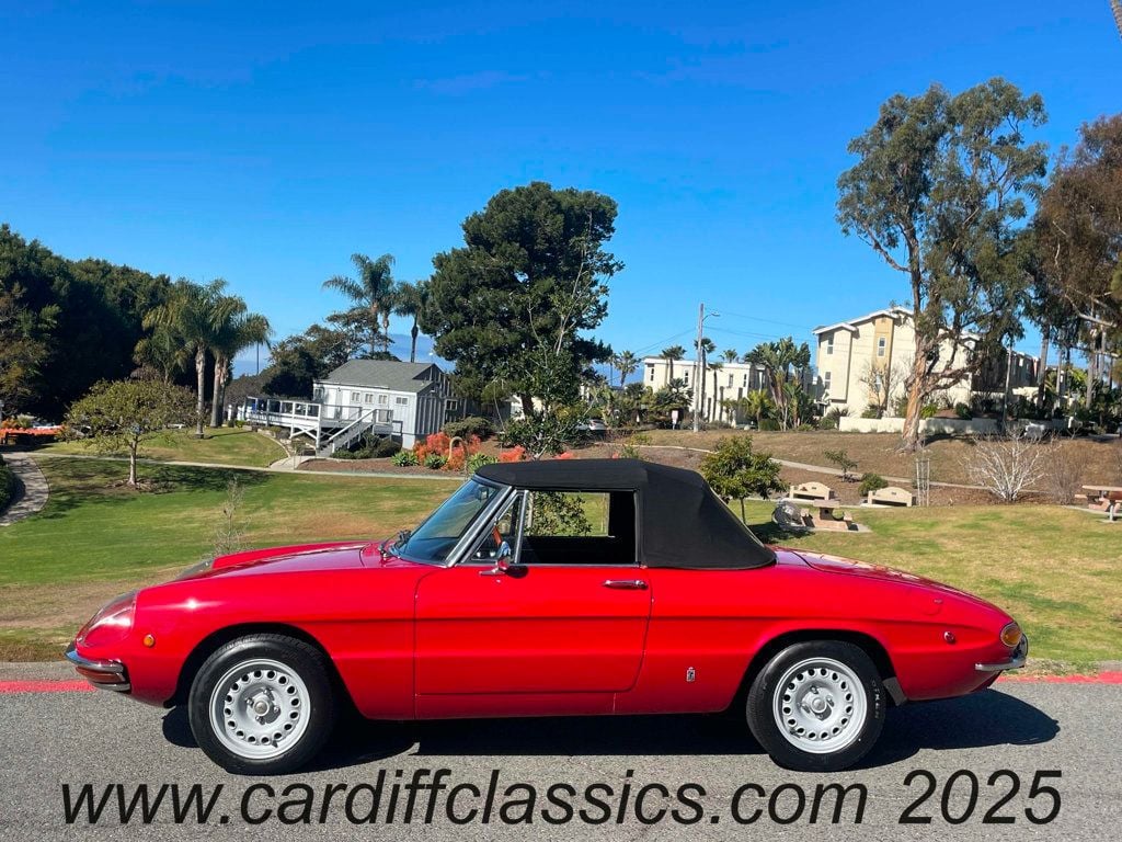 1969 Alfa Romeo Duetto Spider  - 22768498 - 4