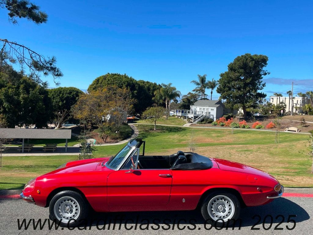 1969 Alfa Romeo Duetto Spider  - 22768498 - 67