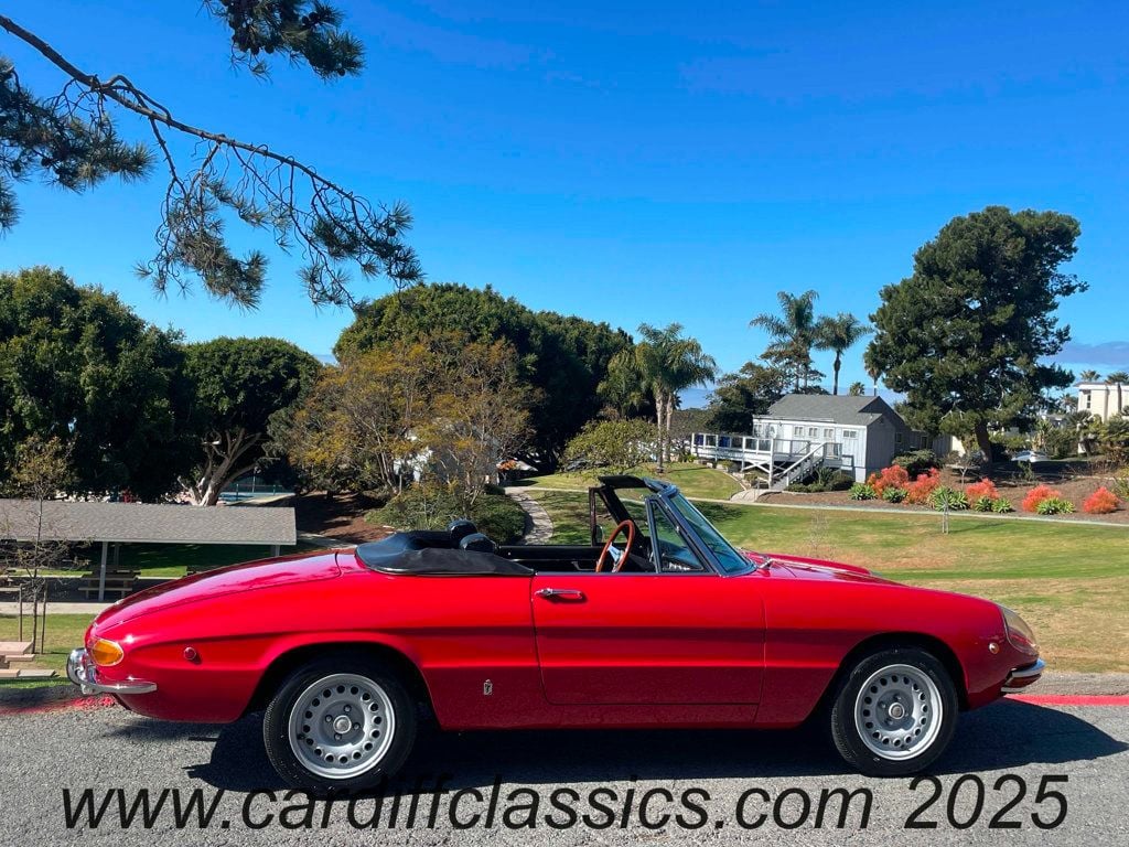 1969 Alfa Romeo Duetto Spider  - 22768498 - 6