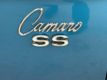 1969 Chevrolet Camaro  - 22289401 - 13