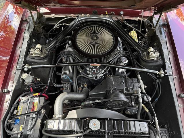 1969 Mercury Cougar Convertible 351 Windsor - 23040981 - 23
