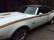 1969 Oldsmobile Cutlass 442 Hurst Tribute For Sale - 22501680 - 0