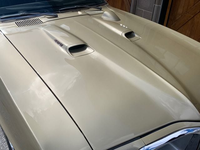 1969 Pontiac FIREBIRD CONVERTIBLE NO RESERVE - 20704217 - 38