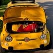 1970 FIAT 500 Abarth 695 Tribute For Sale - 23025338 - 8