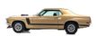 1970 Ford MUSTANG CPE  - 22456153 - 0