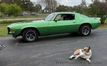 1971 Chevrolet Camaro Z28 For Sale - 22960190 - 2