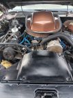 1971 Pontiac Trans Am For Sale - 23034216 - 17