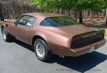 1971 Pontiac Trans Am For Sale - 23034216 - 5