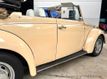 1971 Volkswagen Beetle  - 23049476 - 16