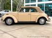 1971 Volkswagen Beetle  - 23049476 - 23