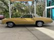 1973 Chevrolet Monte Carlo  - 22289393 - 10