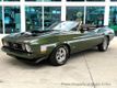 1973 Ford Mustang  - 23036782 - 10