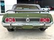 1973 Ford Mustang  - 23036782 - 22