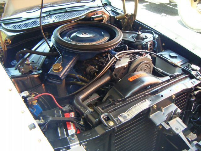1973 Ford MUSTANG RAM AIR - 4072192 - 54
