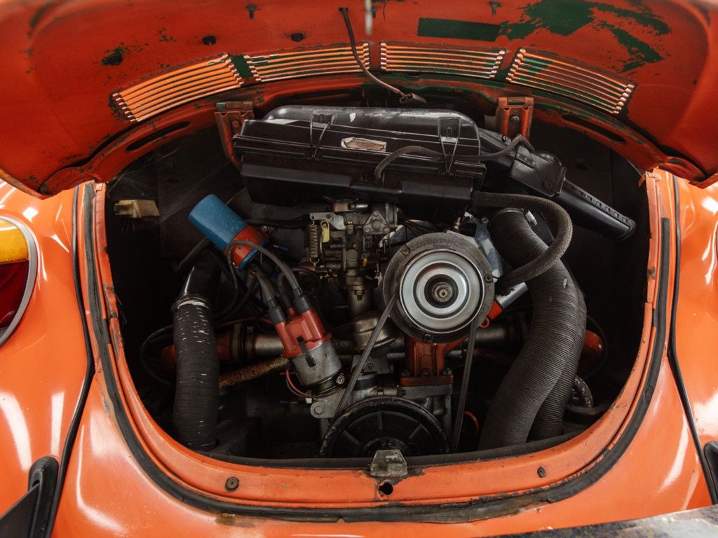 Volkswagen Beetle photo 29