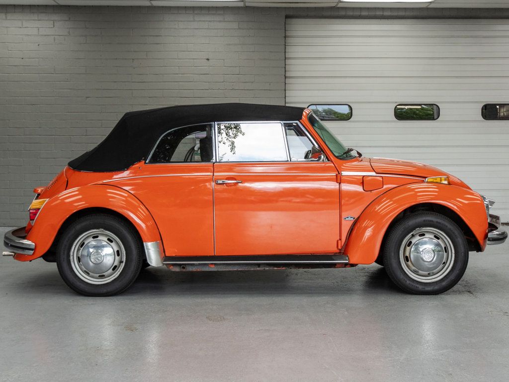 Volkswagen Beetle photo 3