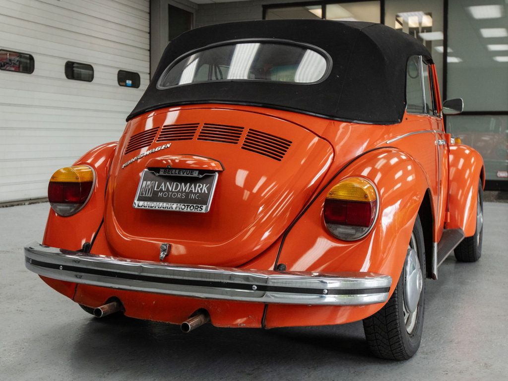 Volkswagen Beetle photo 32