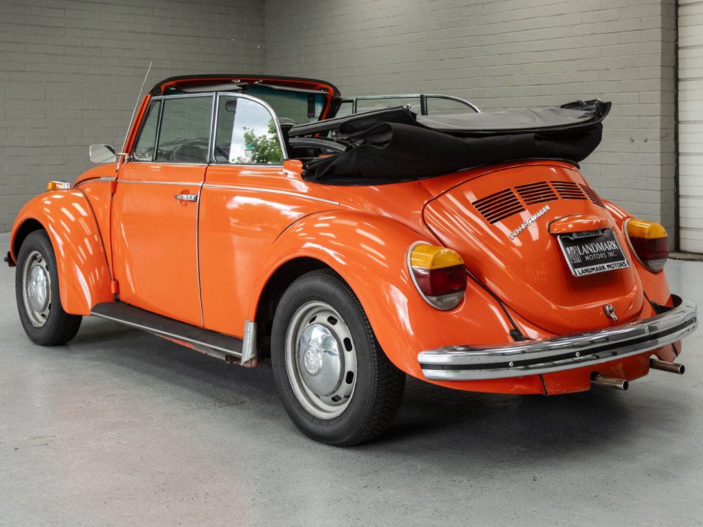 Volkswagen Beetle photo 34
