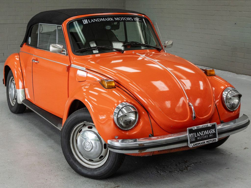 Volkswagen Beetle photo 6