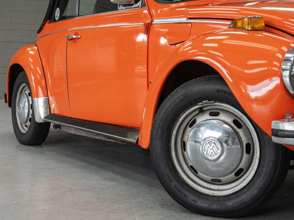 Volkswagen Beetle photo 7