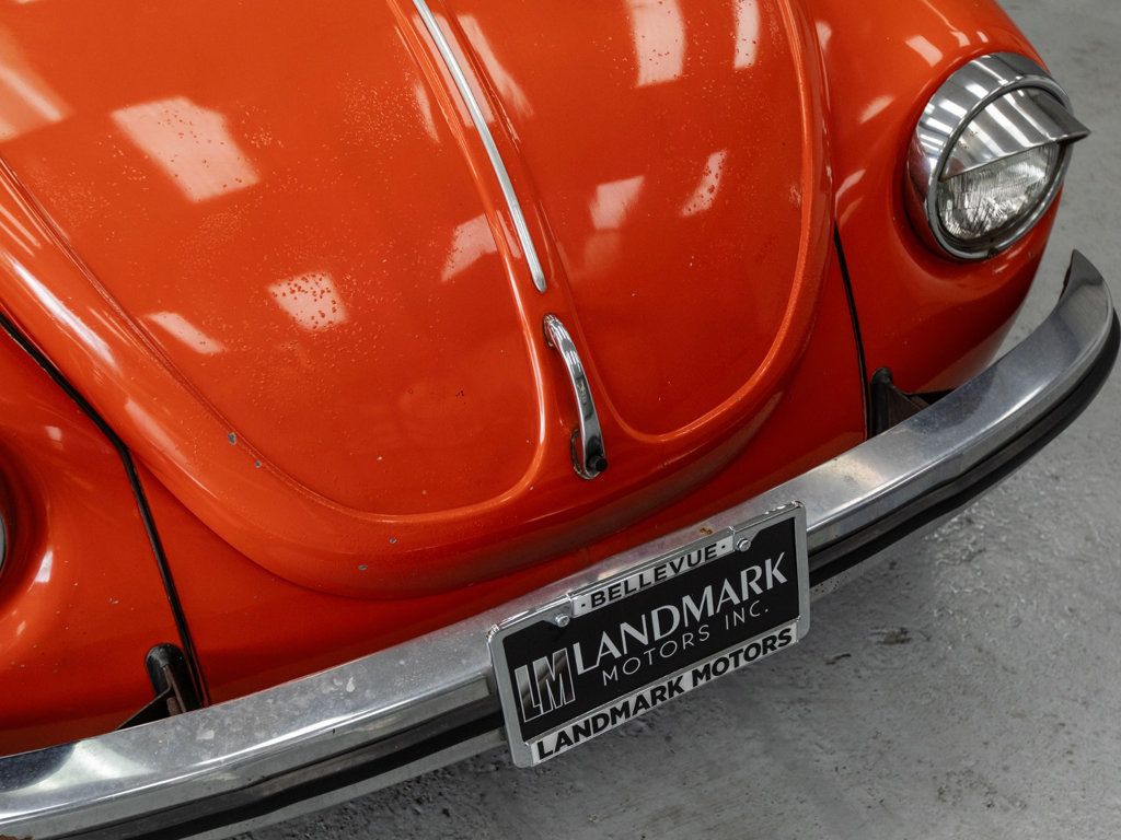Volkswagen Beetle photo 9