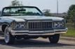 1974 Chevrolet Caprice Classic Convertible - 22476159 - 89