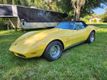 1974 Chevrolet Corvette Convertible with T-Tops For Sale - 22511464 - 0