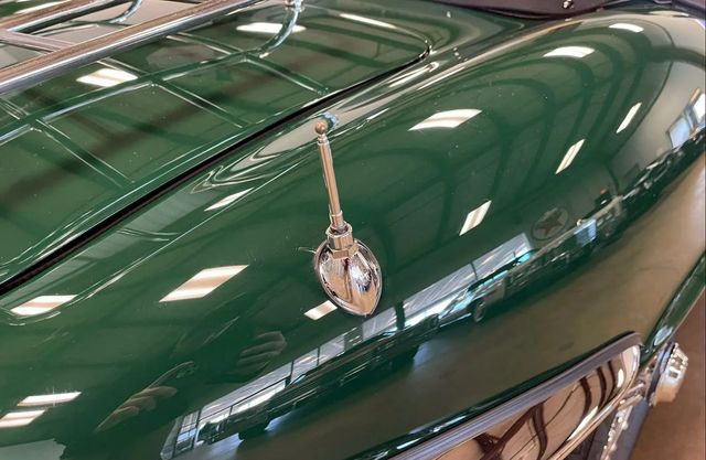 1974 Jaguar XK E-Roadster - 22938515 - 13