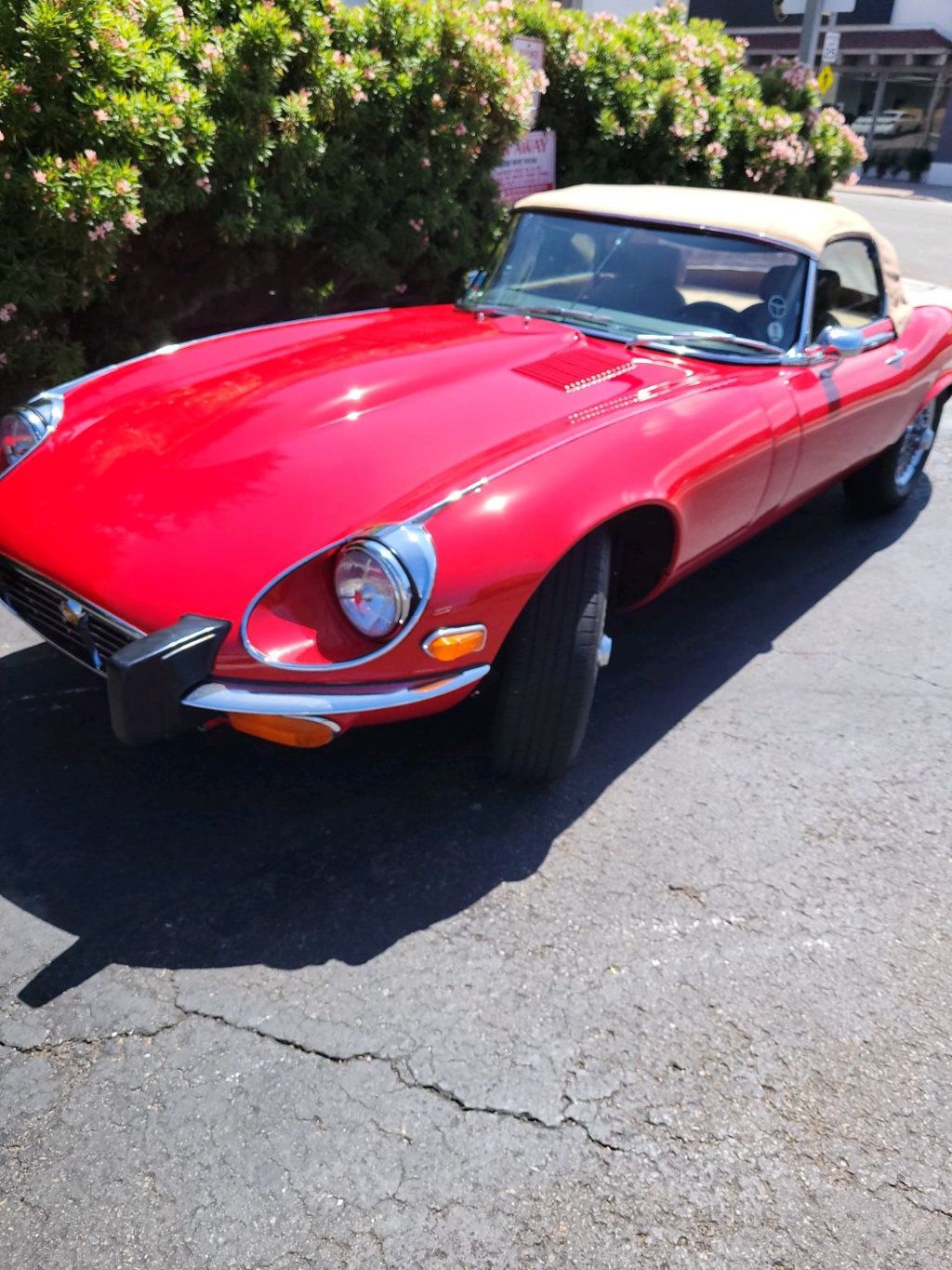 1974 Jaguar XKE ROADSTER  - 22556597 - 93