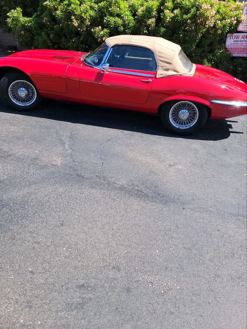 1974 Jaguar XKE ROADSTER  - 22556597 - 95