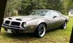 1974 Pontiac Firebird 4 speed 350 cu in - 23043859 - 4
