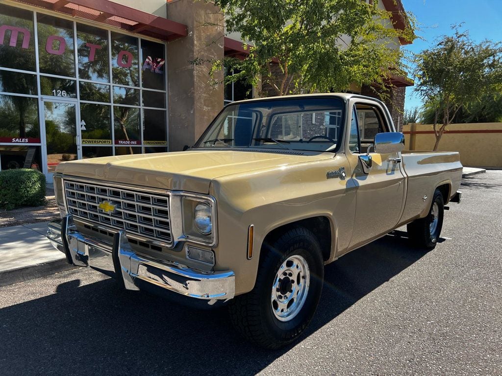 1976 Chevrolet C20 Super Clean!  - 22665423 - 1