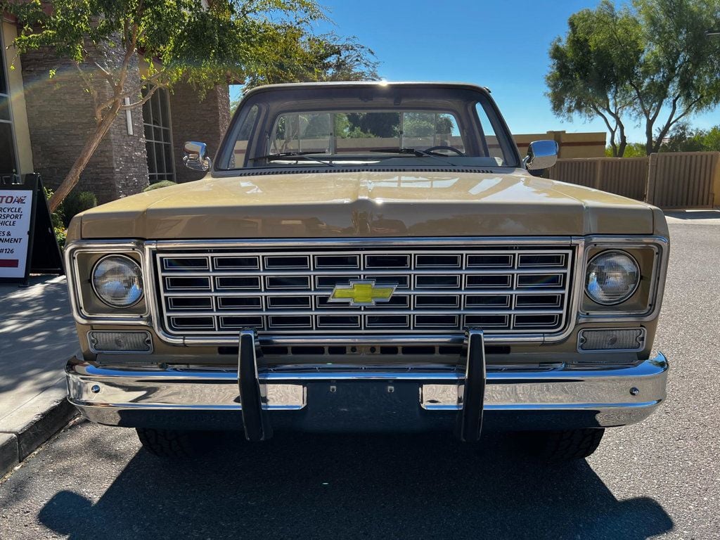 1976 Chevrolet C20 Super Clean!  - 22665423 - 2