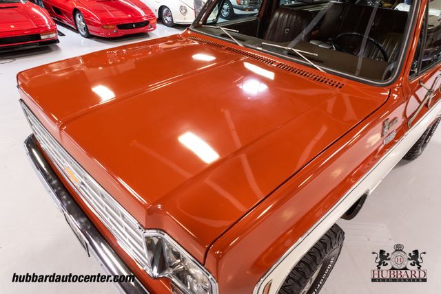 1976 Chevrolet K5 Blazer Cheyenne  - 22389861 - 19