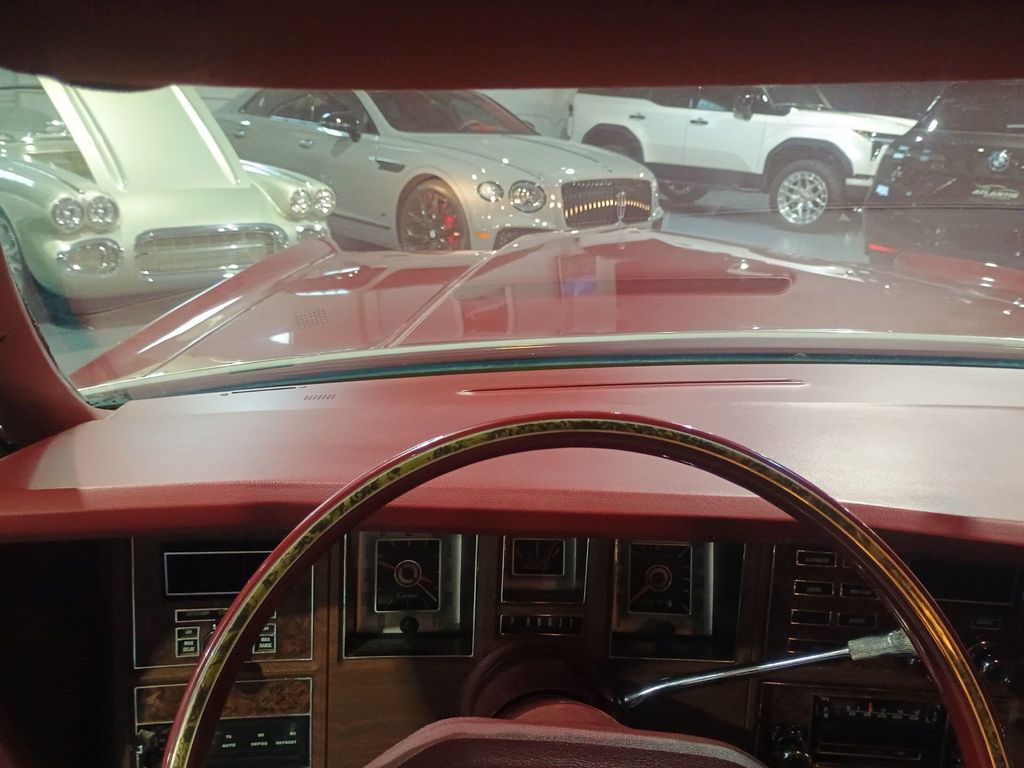 1976 Lincoln Continental Mark IV Pucci Edition - 22974847 - 37