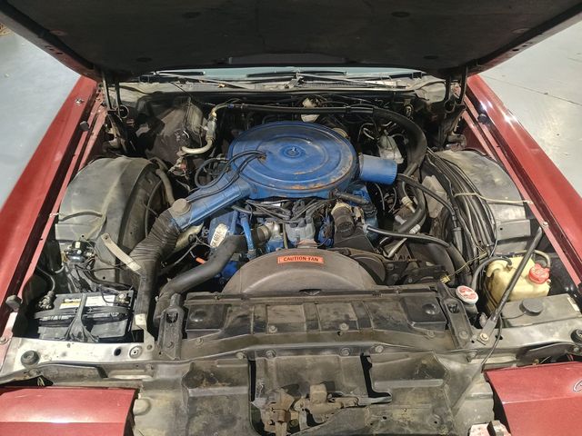 1976 Lincoln Continental Mark IV Pucci Edition - 22974847 - 64