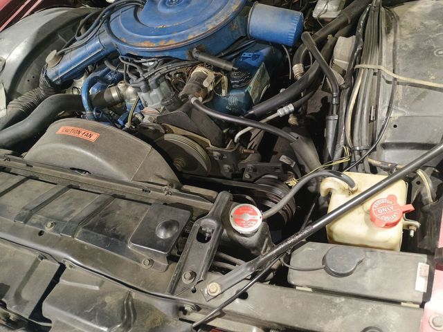 1976 Lincoln Continental Mark IV Pucci Edition - 22974847 - 68