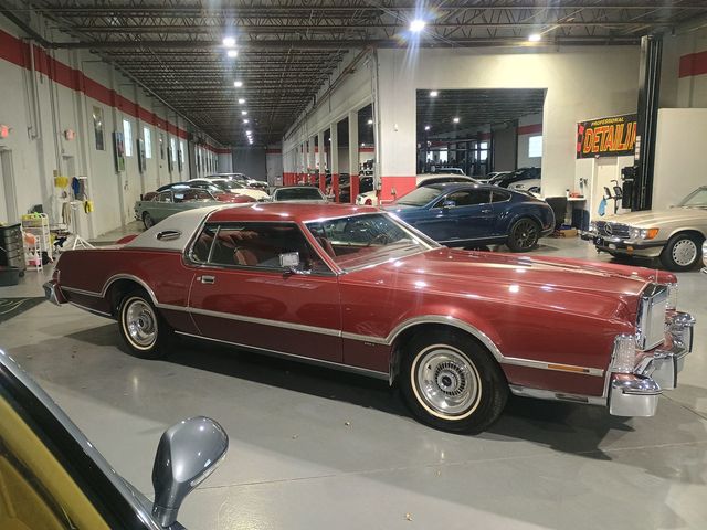 1976 Lincoln Continental Mark IV Pucci Edition - 22974847 - 6