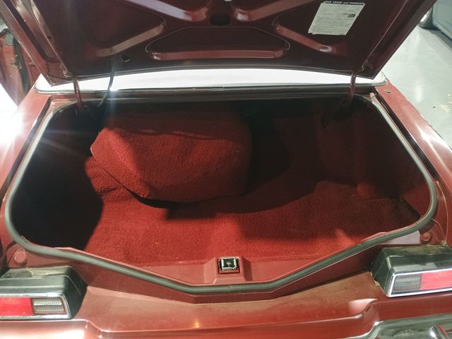 1976 Lincoln Continental Mark IV Pucci Edition - 22974847 - 71