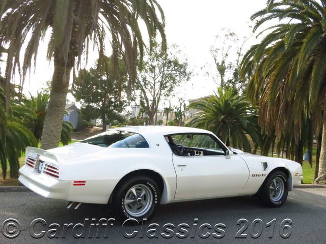 1976 Pontiac Trans-Am  455ci 4-speed  - 15156160 - 9