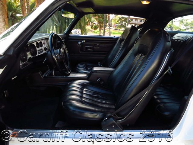 1976 Pontiac Trans-Am  455ci 4-speed  - 15156160 - 16