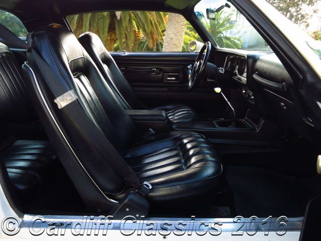 1976 Pontiac Trans-Am  455ci 4-speed  - 15156160 - 17